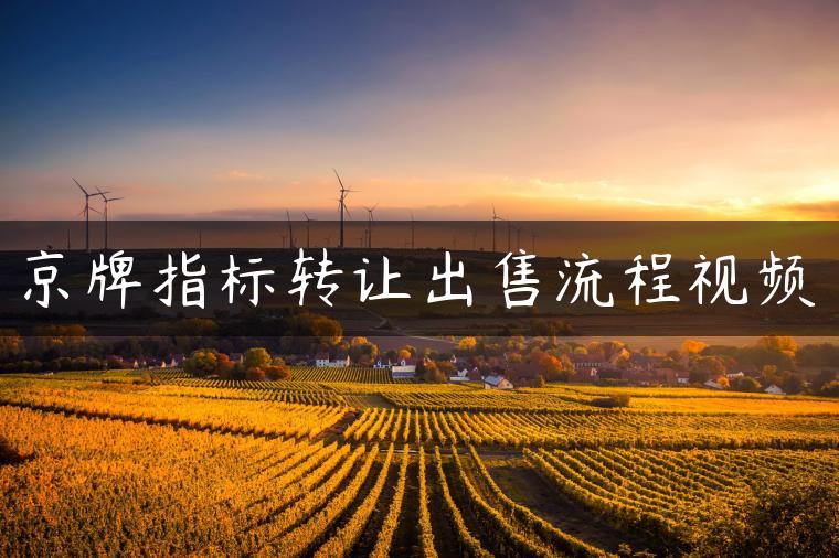 京牌指标转让出售流程视频