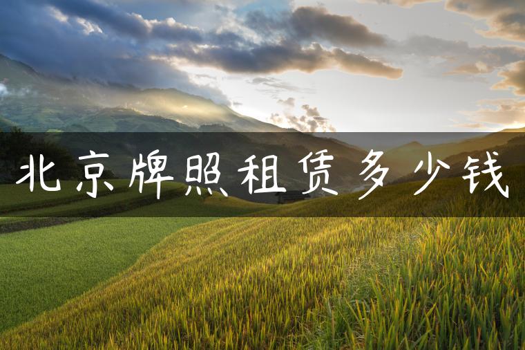 北京牌照租赁多少钱-金牌车友