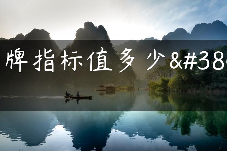 京牌指标值多少钱