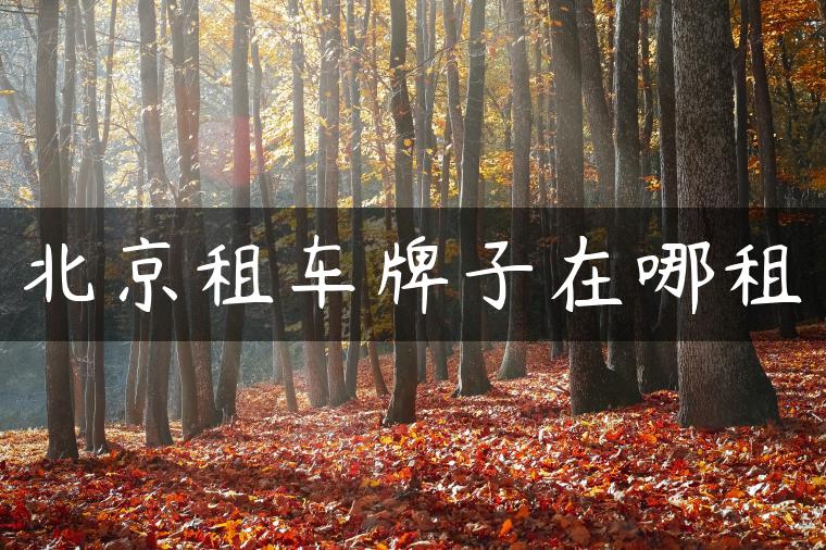 北京租车牌子在哪租
