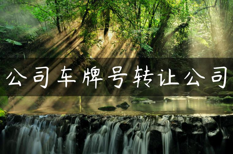 公司车牌号转让公司-金牌车友