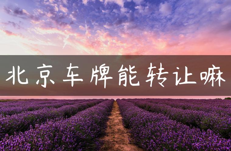 北京车牌能转让嘛