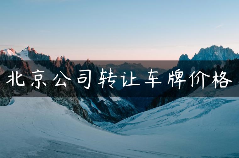 北京公司转让车牌价格