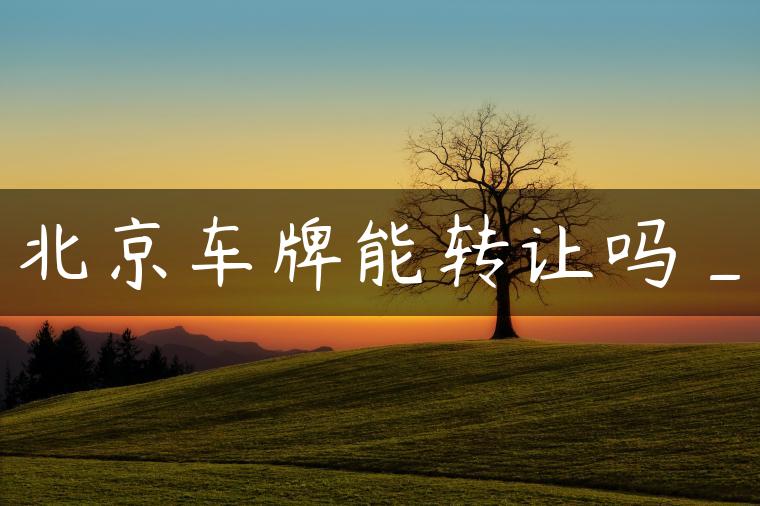 北京车牌能转让吗_
