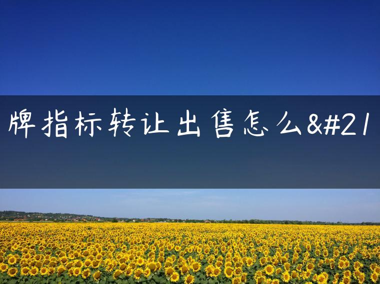京牌指标转让出售怎么办