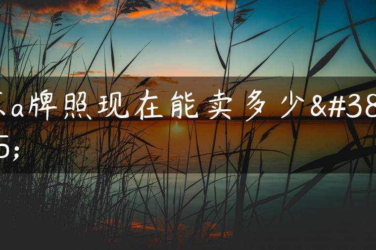 京a牌照现在能卖多少钱