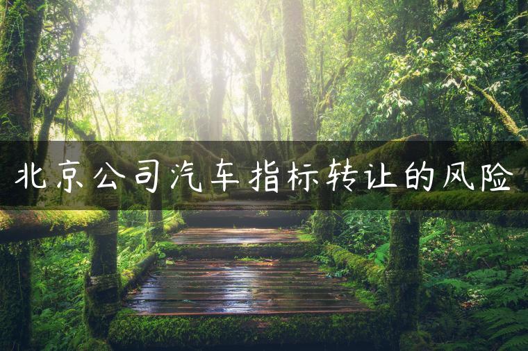 北京公司汽车指标转让的风险