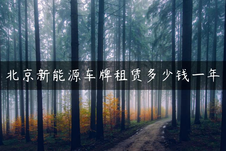 北京新能源车牌租赁多少钱一年