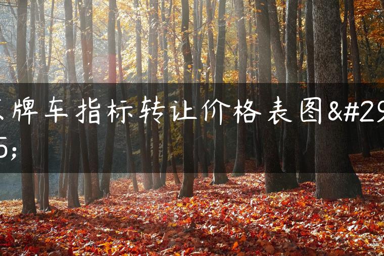 京牌车指标转让价格表图片