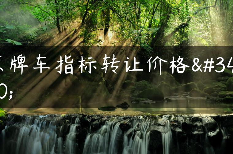 京牌车指标转让价格表