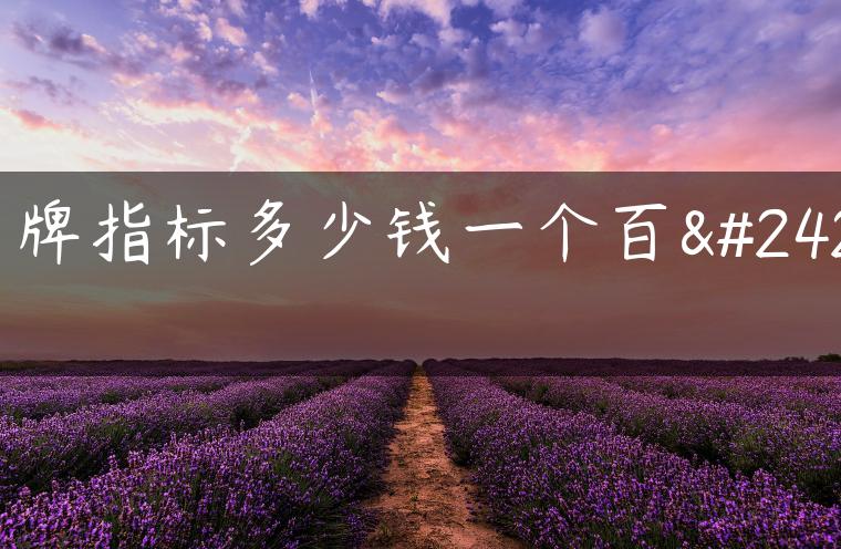 京牌指标多少钱一个百度