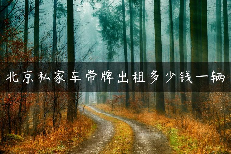 北京私家车带牌出租多少钱一辆