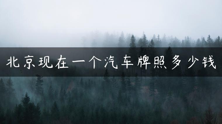 北京现在一个汽车牌照多少钱
