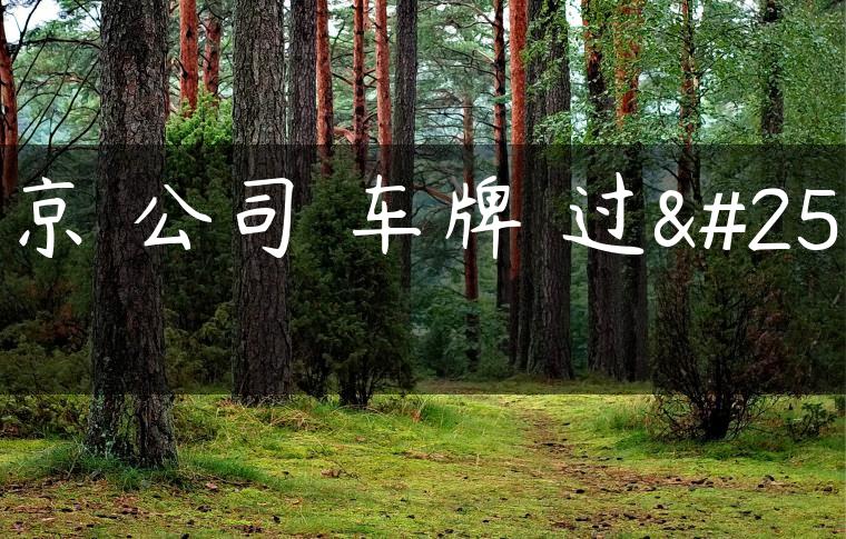北京 公司 车牌 过户