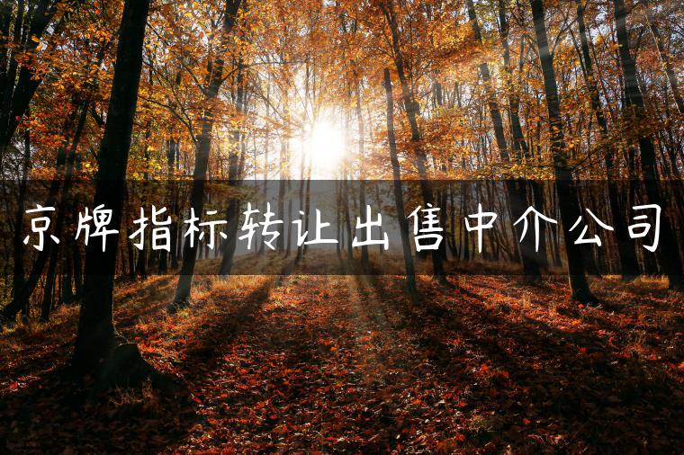 京牌指标转让出售中介公司