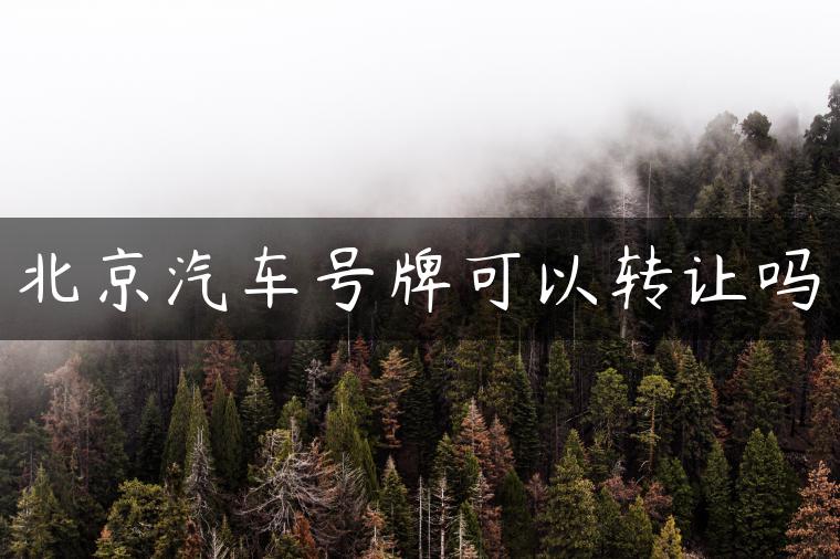 北京汽车号牌可以转让吗