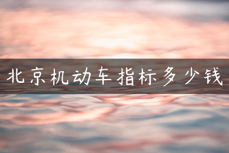 北京机动车指标多少钱
