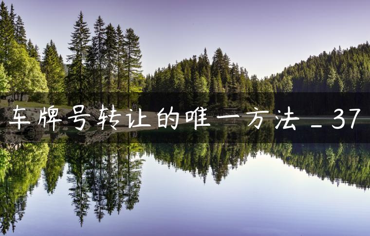 车牌号转让的唯一方法_37