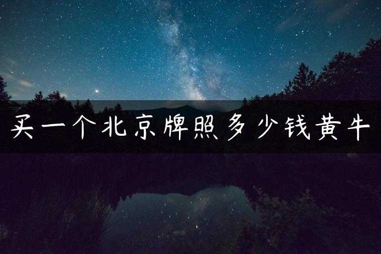 买一个北京牌照多少钱黄牛
