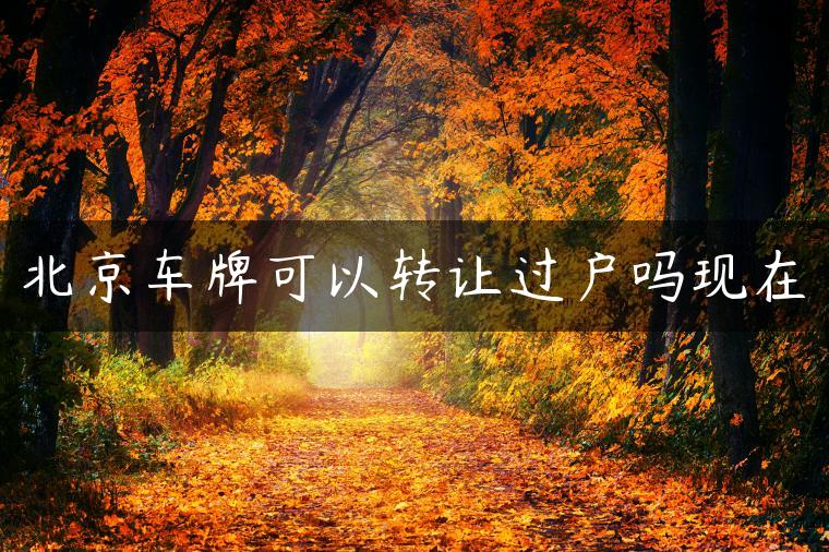 北京车牌可以转让过户吗现在