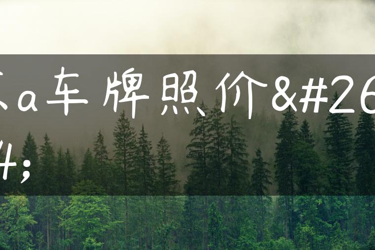 京a车牌照价格