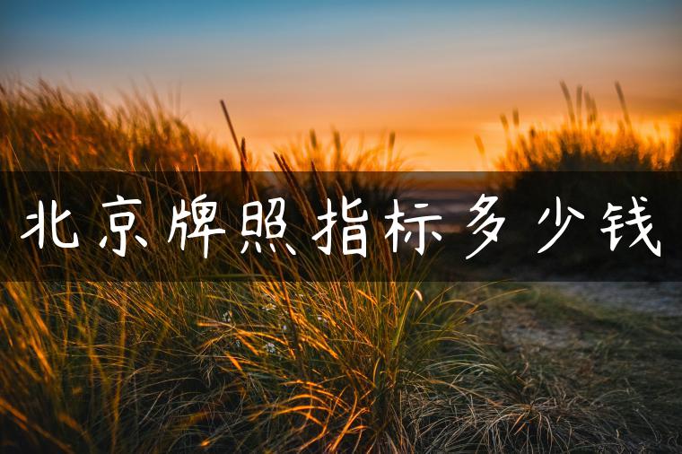 北京牌照指标多少钱