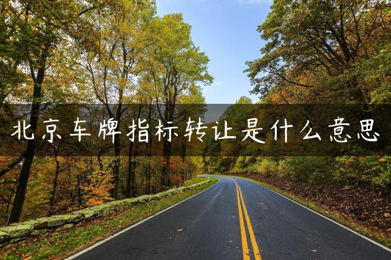 北京车牌指标转让是什么意思