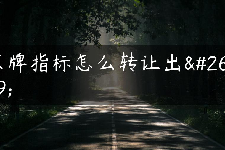 京牌指标怎么转让出来