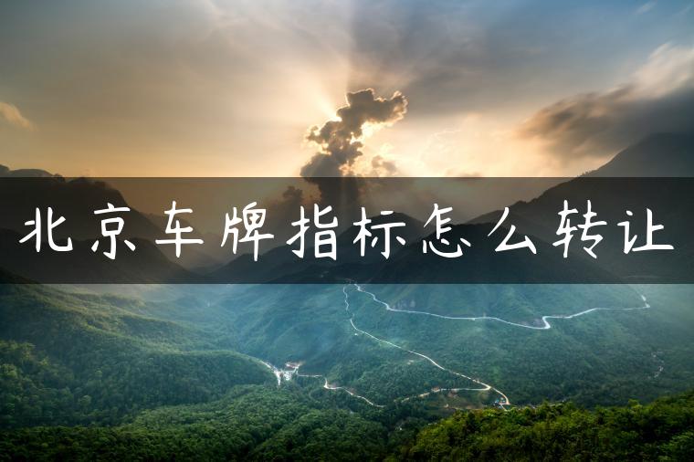 北京车牌指标怎么转让