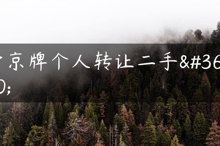 带京牌个人转让二手车