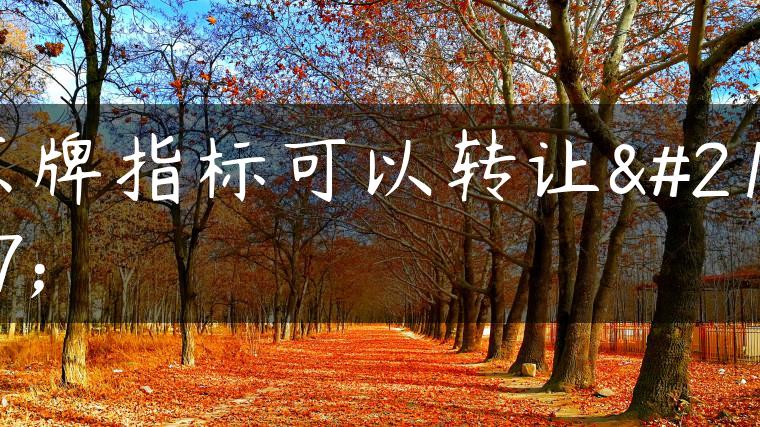 京牌指标可以转让吗