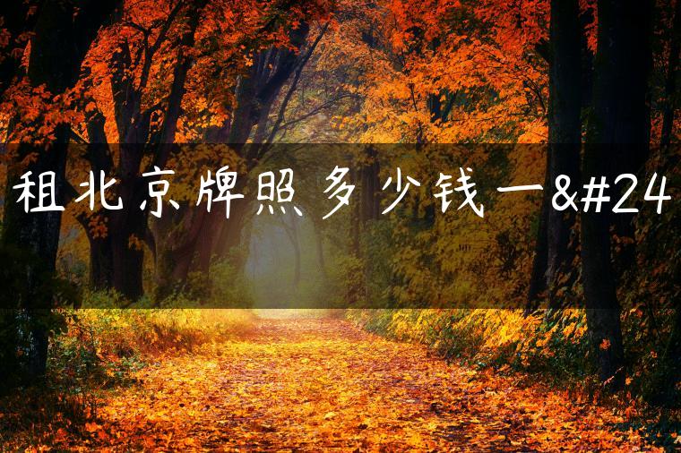 出租北京牌照多少钱一年