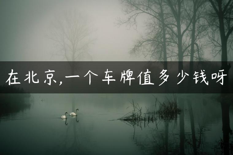 在北京,一个车牌值多少钱呀