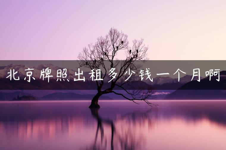 北京牌照出租多少钱一个月啊