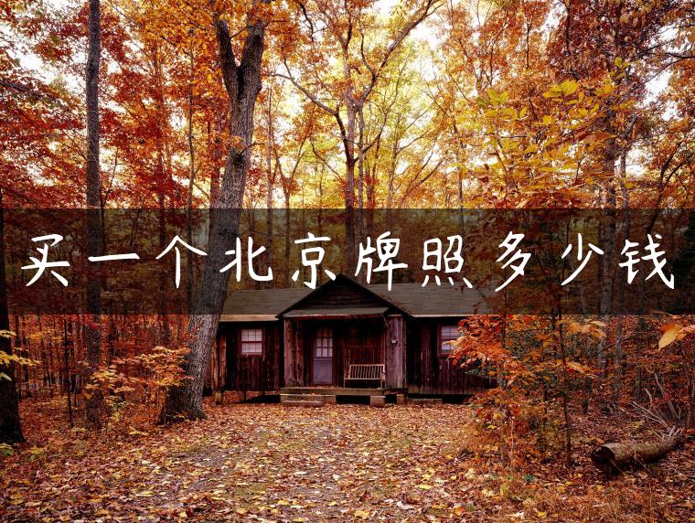 买一个北京牌照多少钱