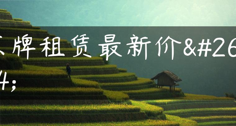 京牌租赁最新价格