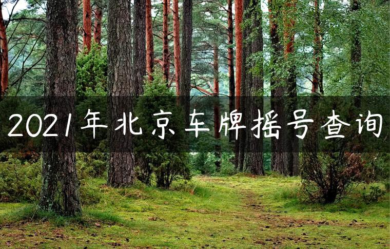 2021年北京车牌摇号查询
