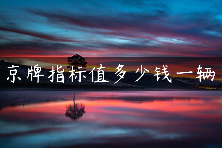 京牌指标值多少钱一辆