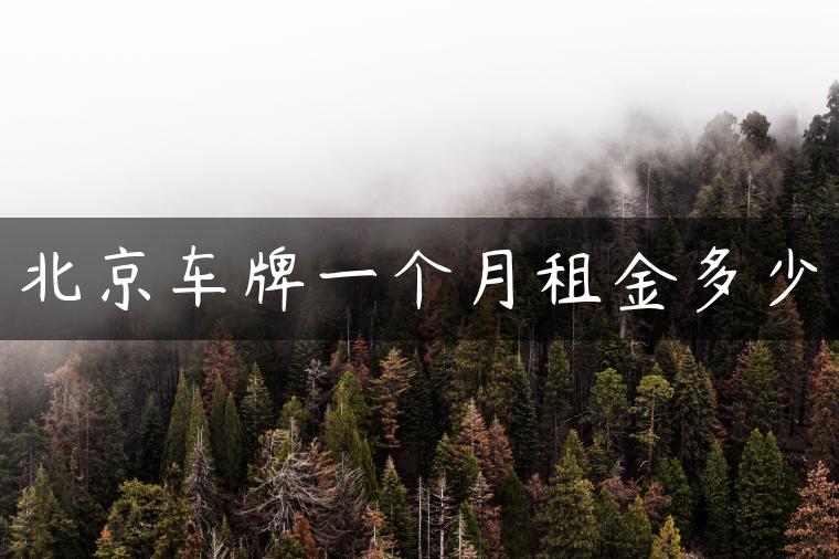北京车牌一个月租金多少