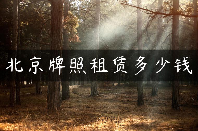 北京牌照租赁多少钱