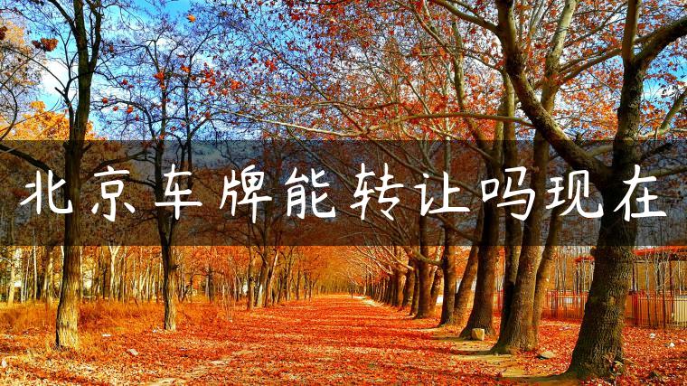 北京车牌能转让吗现在