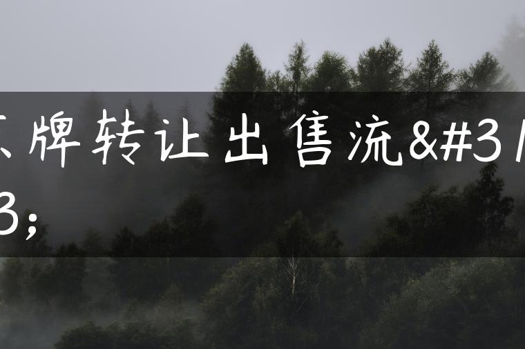 京牌转让出售流程