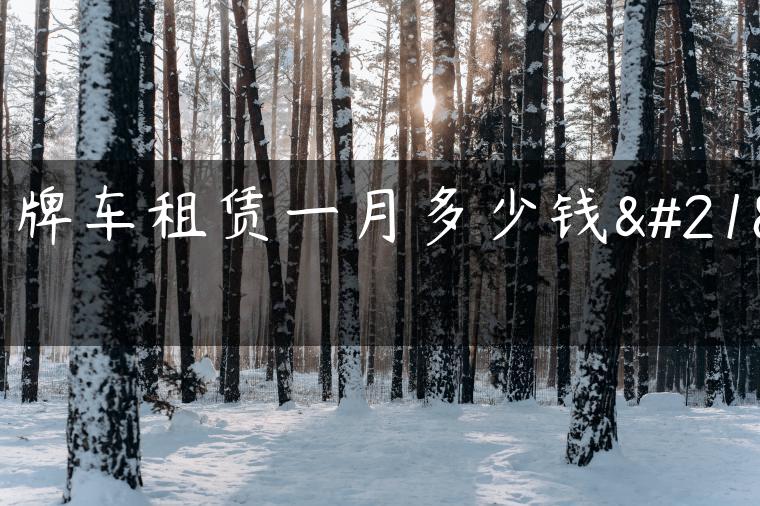 京牌车租赁一月多少钱啊