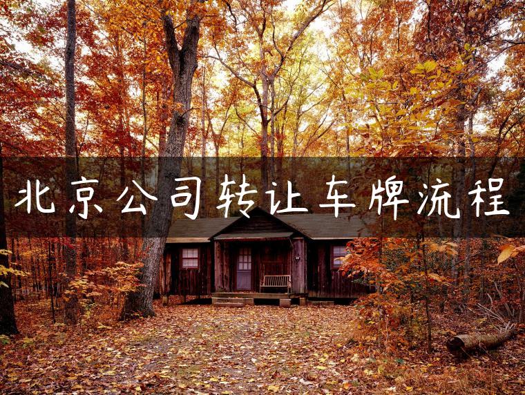 北京公司转让车牌流程