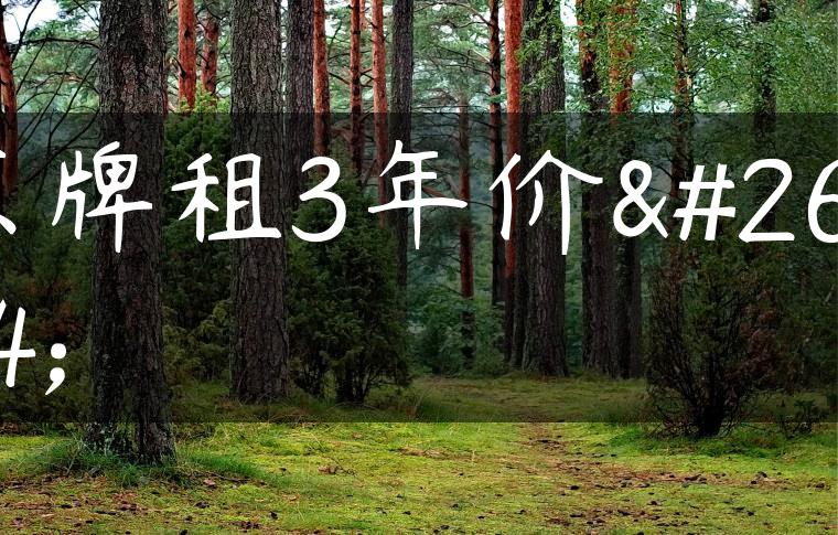 京牌租3年价格
