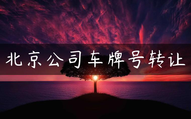 北京公司车牌号转让