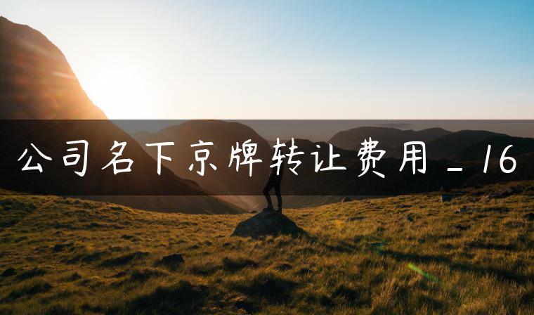 公司名下京牌转让费用_16