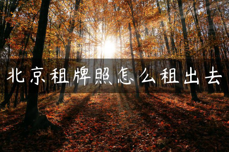 北京租牌照怎么租出去