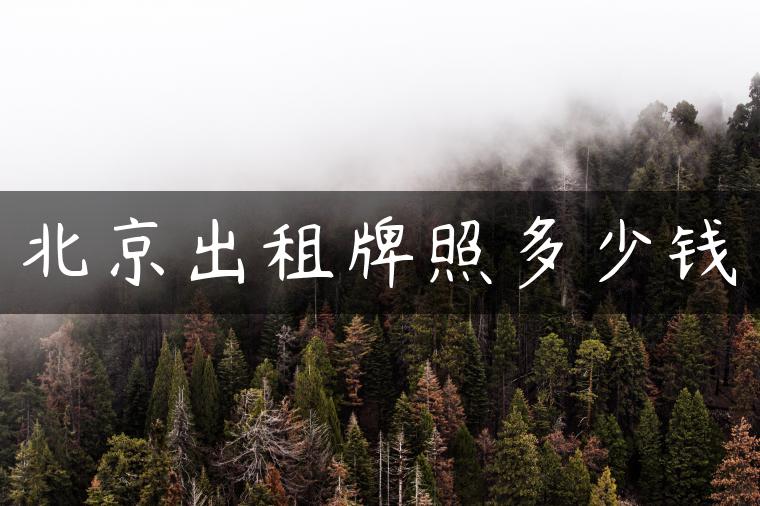 北京出租牌照多少钱