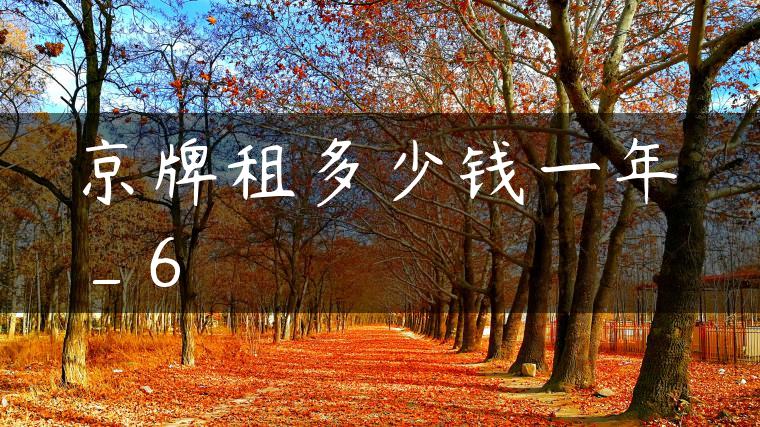 京牌租多少钱一年_6